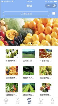 江西生态农业官网小程序,绿色食品销售平台